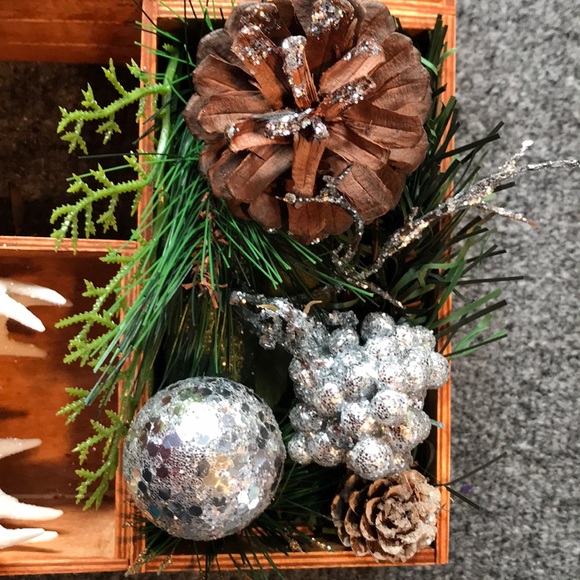 Deer Holiday Poinsettia Arragement - Picture 6 of 8